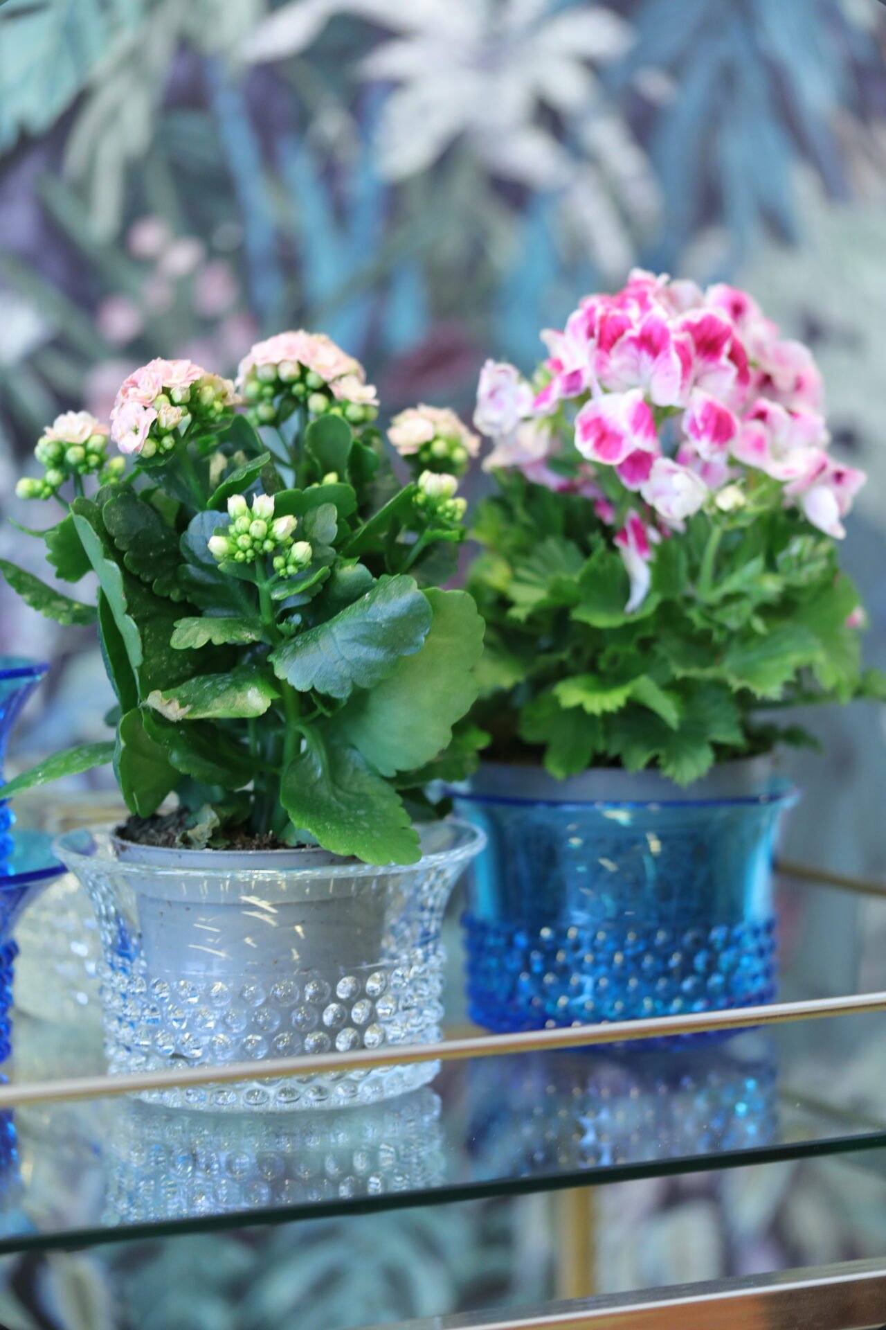 Läs mer om artikeln Saara Hopea skål Nyppylä/Krokus Nuutajärvi, Notsjö